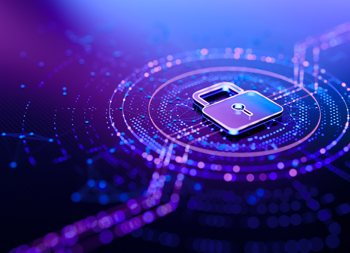 Web Application Security Testing